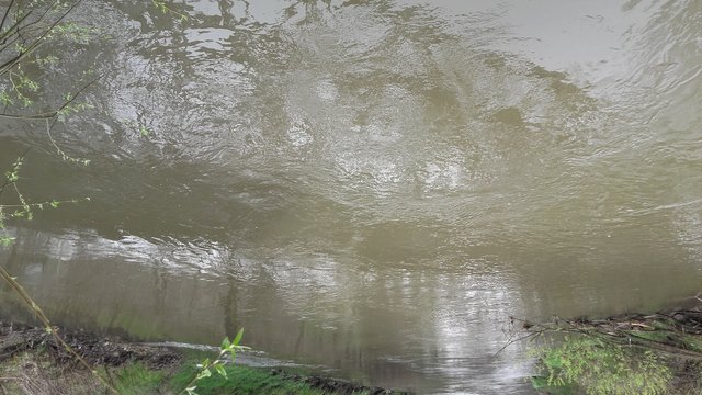 szaraX