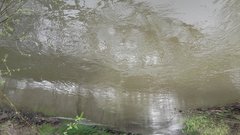 20160412_132900.jpg