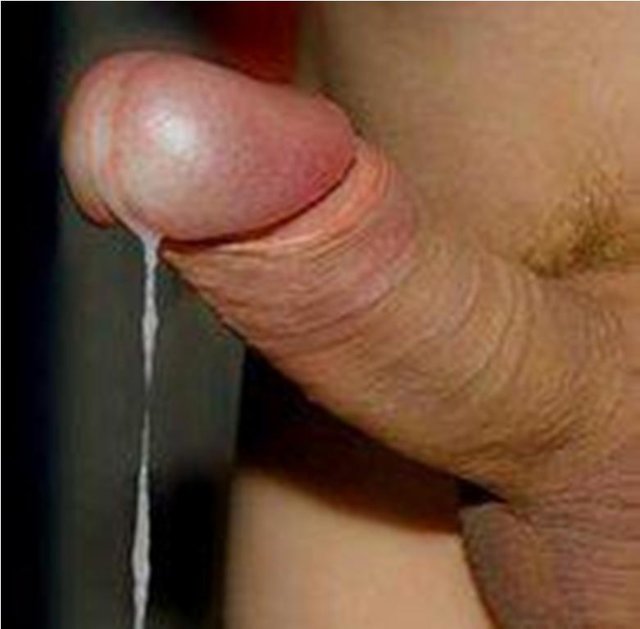 320247_161726873917439_100002403817606_314313_1901506550_n[1].jp - sexy121