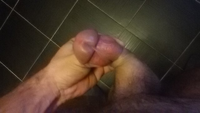 sadysta1