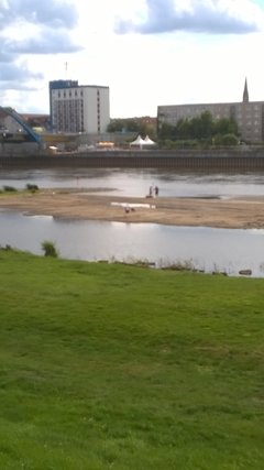WP_20160801_005.jpg