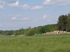 DSC08182.JPG