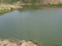 DSC08216.JPG