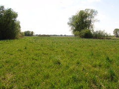 DSC08180.JPG