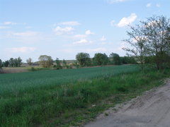 DSC08211.JPG