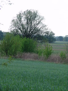 DSC08207.JPG