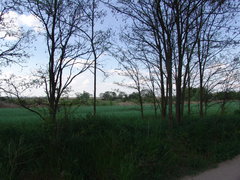DSC08204.JPG