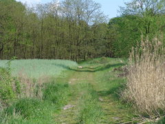 DSC08183.JPG