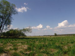 DSC08176.JPG
