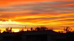 IMG_20160929_183747.jpg