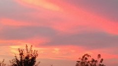 IMG_20160929_183728.jpg