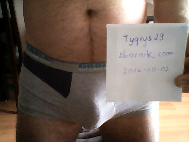Tygrys29