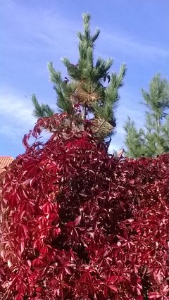 WP_20161001_265.jpg