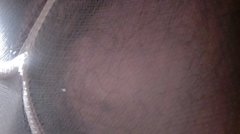 20160929_140613.jpg