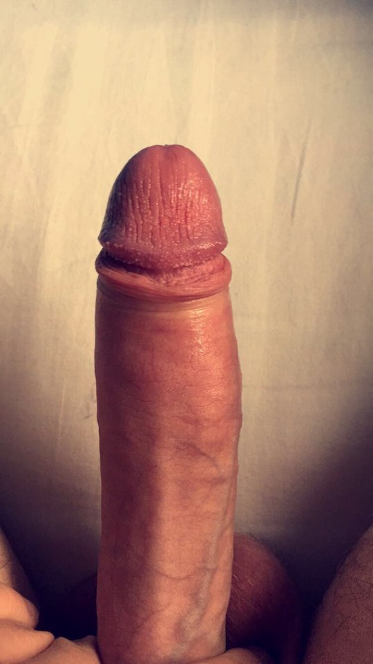Glodny :) - Kamil13231