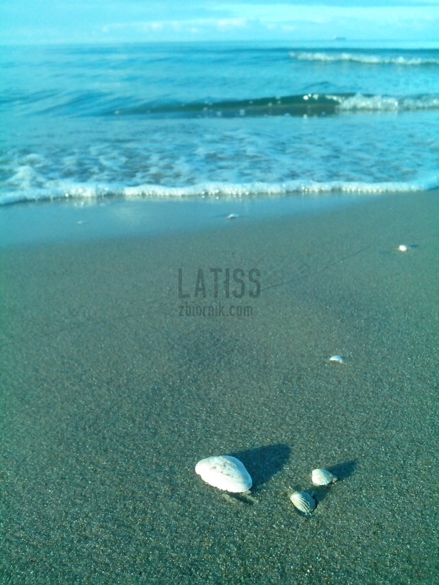 latiss