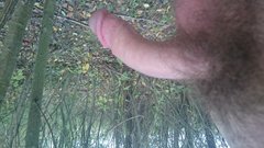 DSC_0454.JPG