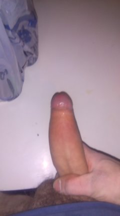 IMAG0387.jpg