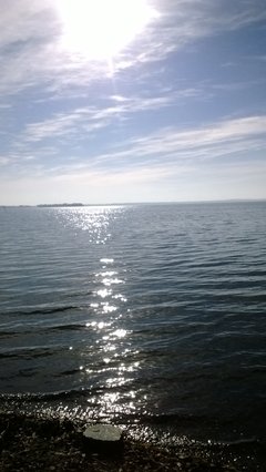 WP_20161014_039.jpg