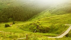 DSC_1496.JPG