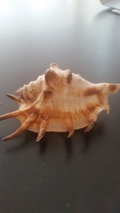 20160924_140830.jpg
