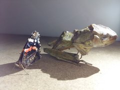 20161018_150558.jpg