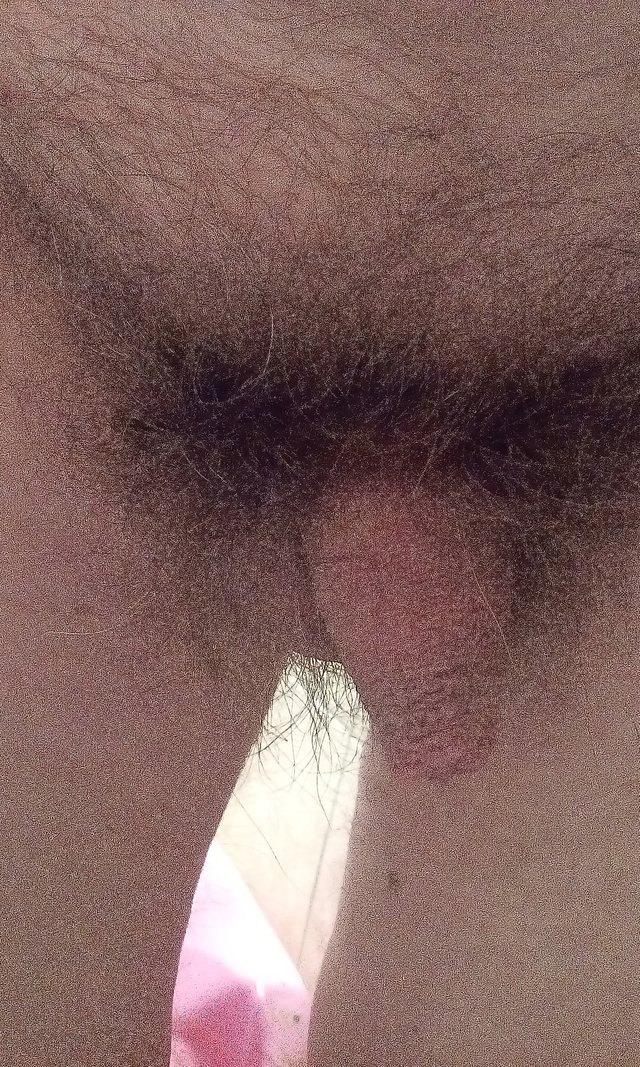 UleglyPiotrCiota