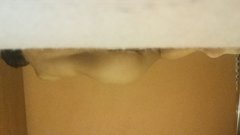 20161028_065411.jpg