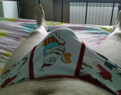 CAM005912.jpg