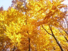 20151027_093032.jpg