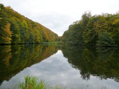 Góry Harzu
