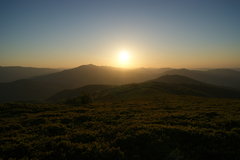DSC01677.JPG