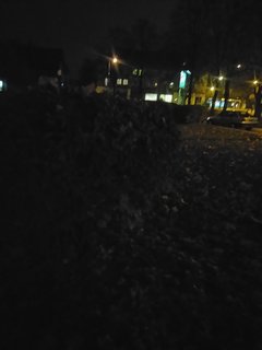 DSC_0001_5.JPG