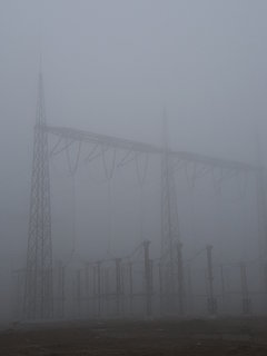 20161009_080549.jpg