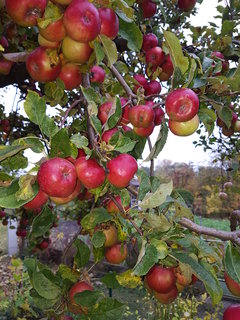 20161028_110339.jpg