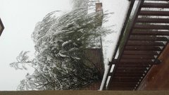 20161109_092409.jpg