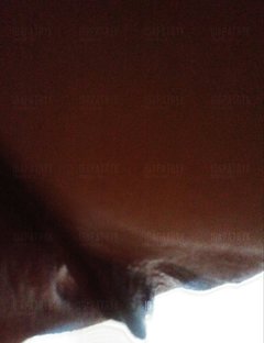 20161113_142118-1.jpg