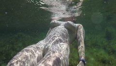 vlcsnap-2016-11-05-12h11m00s360.jpg
