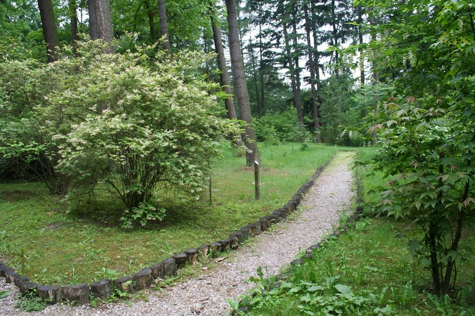 Obraz 078.jpg - karington
