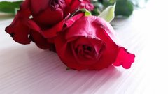 20161121_143102.jpg