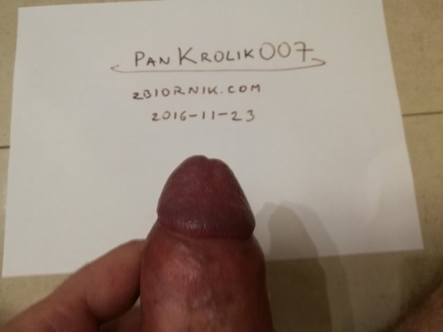 PanKrolik007