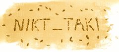 PTAKI