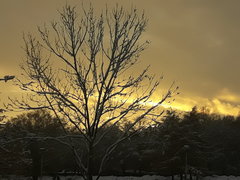 20161202_150323[1].jpg