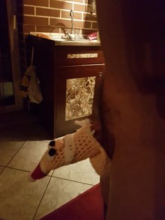 20161206_204307.jpg