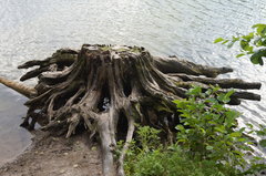 DSC09283.JPG