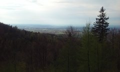 20160417_163111.jpg