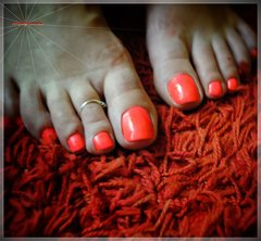 sweet orange #73