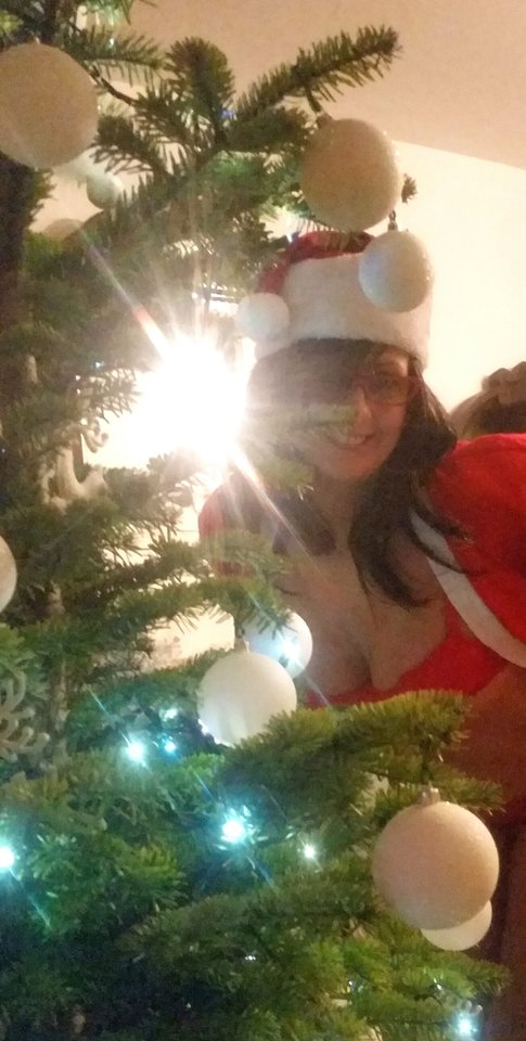 2016-12-23 08.34.03.jpg - papagaje