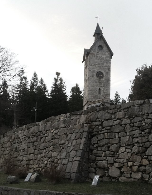 papagaje