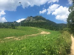 IMG_1229.jpg